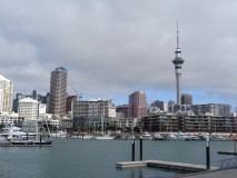 Premières journées à Auckland